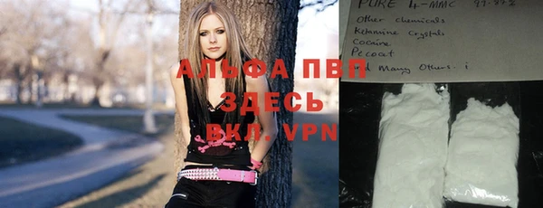spice Алзамай