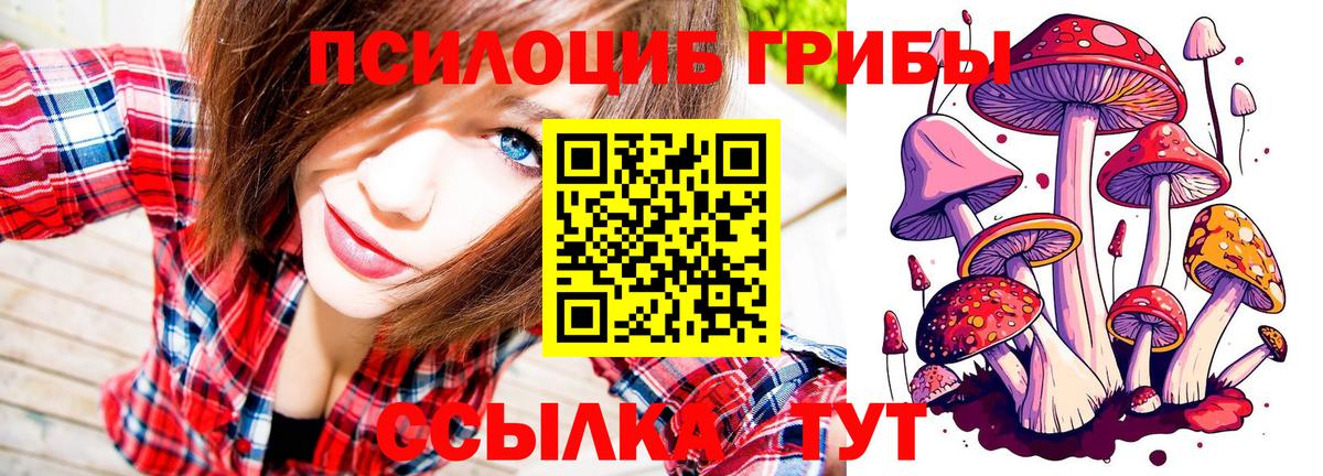 ЭКСТАЗИ Майкоп